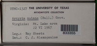 Image Associated With the Occurence